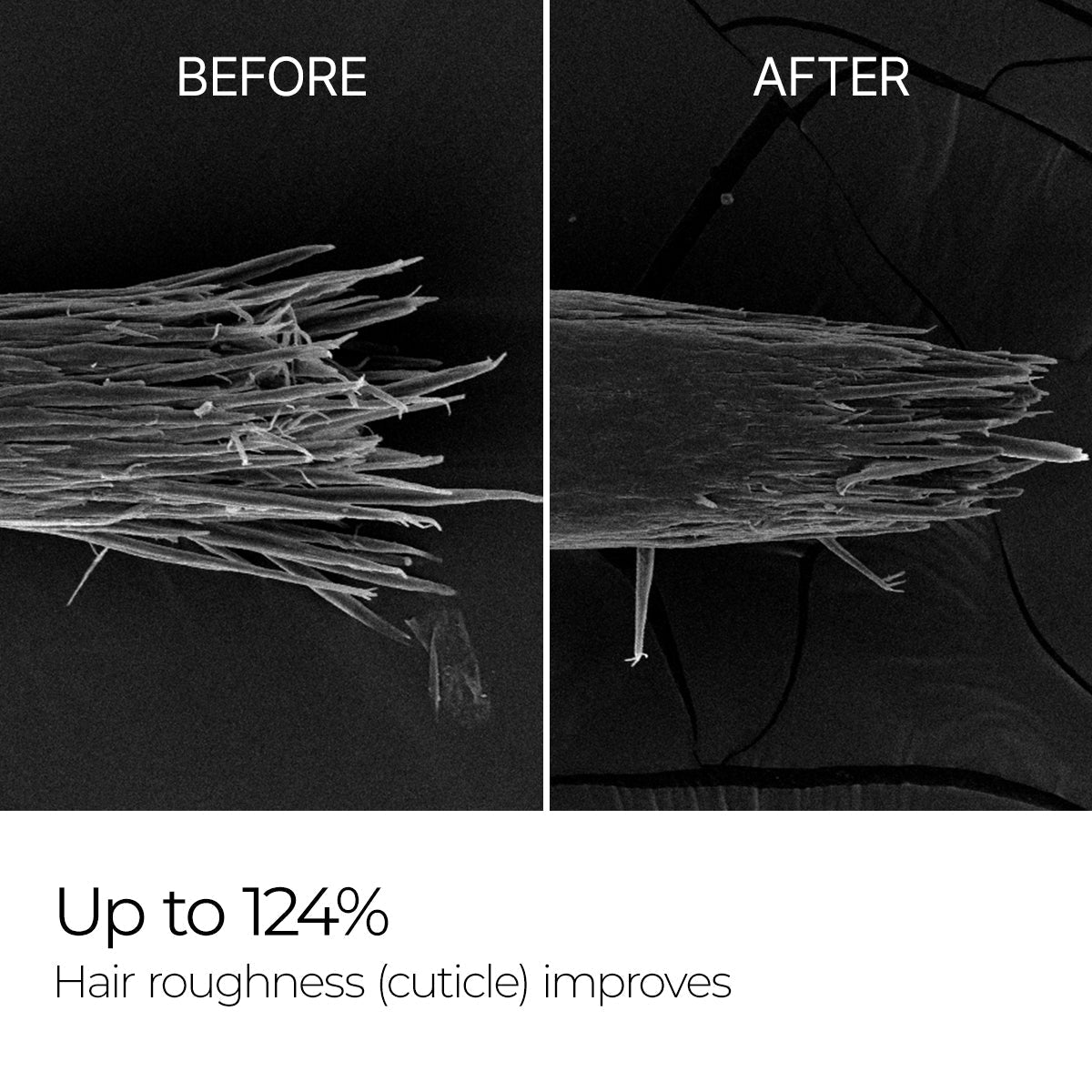 Bondex bonding remodeling line